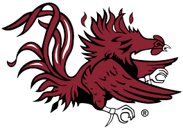 TIGER'S BLOOD (ORANGE + PATCHOULI)