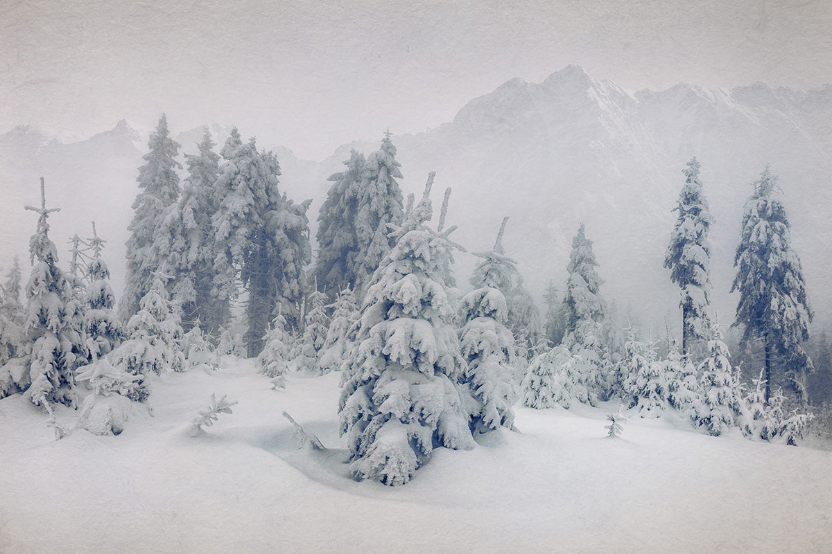 ARTIC NIGHT LARGE SMELTIE (AMBER + FIR + PATCHOULI)