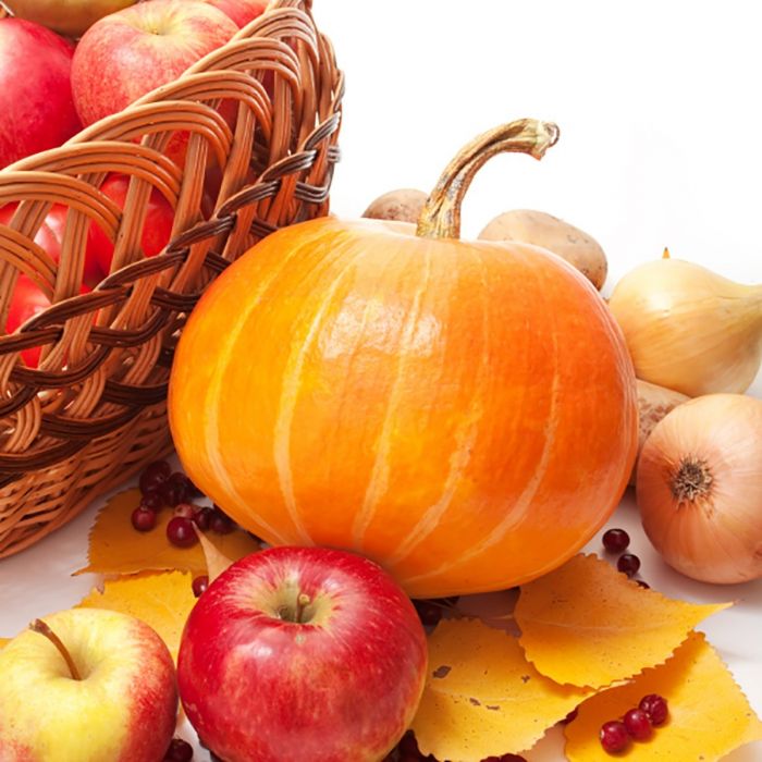 Fall Festival